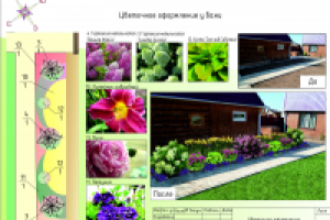 Цветочное оформление из кустарников,многолетников и однолетников