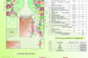 с. Кокшайск