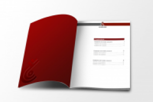 годовой отчет