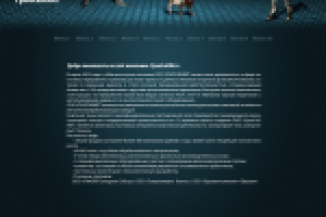 вариант дизайна сайта