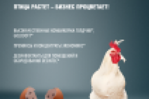 Рекламный модуль в журнал для ООО "Агравис"