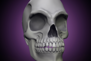 Skull. Compositional render