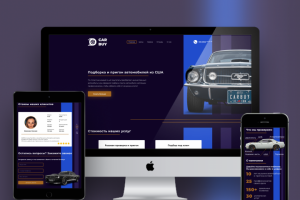 Подборка и перегон автомобилей "CAR BUY"