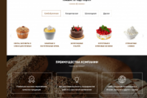 Дизайн сайта компании Npartner