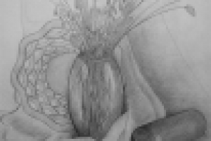 Работа 1779499