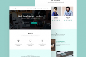 Site Web Development