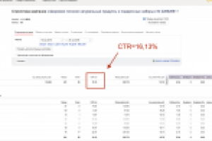 Интернет-магазин здорового питания (Яндекс Директ)