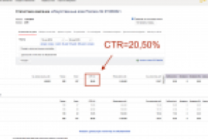 Интернет-магазин Елок по всей России (Яндекс Директ)