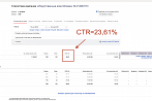 Интернет-магазин Елок Москва (Яндекс Директ)