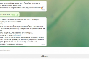 Телеграмм бот @revizzor_bot уборка объектов чек клинеров