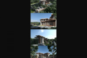 House. Виз для диплома