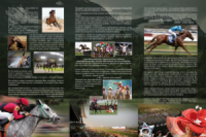 Буклет для частной конюшни