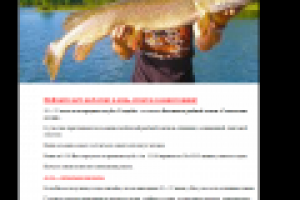 Текст для рассылки Фестиваль рыбной ловли