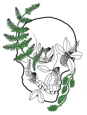 img4136243.png