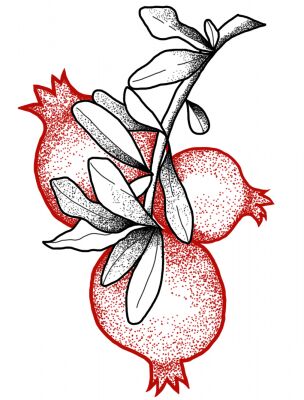 img4136240.png