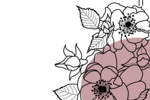 Стикеры для сториз Instagram