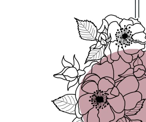img4135929.png