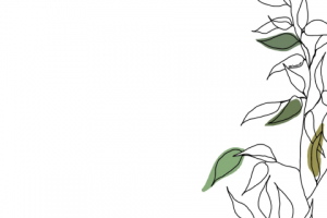 Стикеры для сториз Instagram