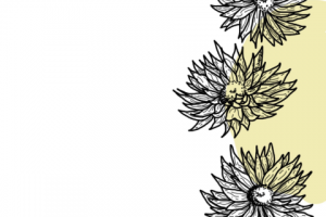 Стикеры для сториз Instagram