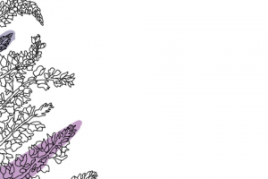 Стикеры для сториз Instagram