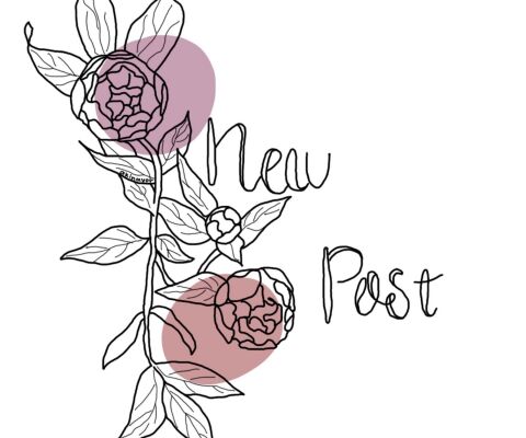 img4135915.png
