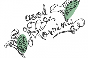 Стикеры для сториз Instagram