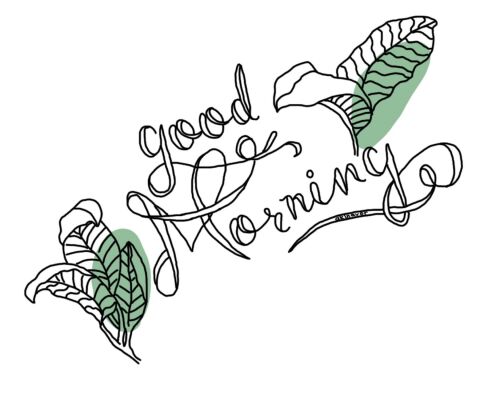 img4135910.png