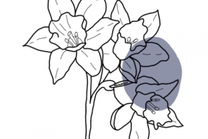 Стикеры для сториз Instagram