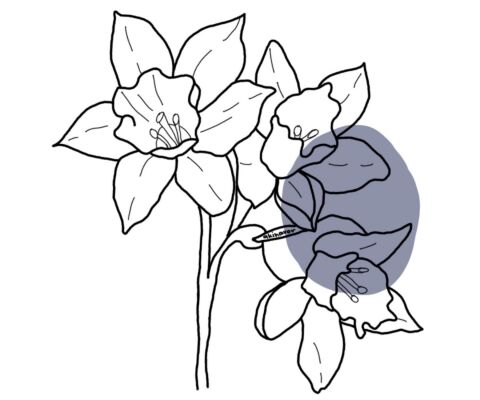 img4135906.png