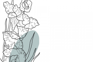 Стикеры для сториз Instagram