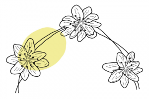 Стикеры для сториз Instagram