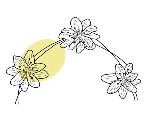img4135838.png