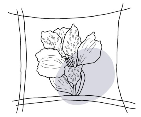 img4135847.png