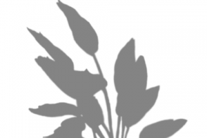 Стикеры для сториз Instagram