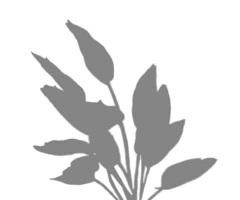 img4135936.png