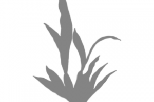 Стикеры для сториз Instagram