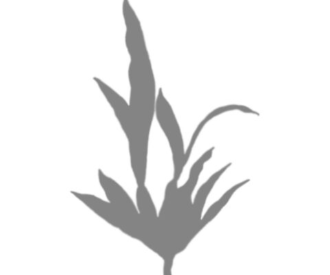 img4135934.png
