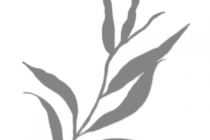 Стикеры для сториз Instagram