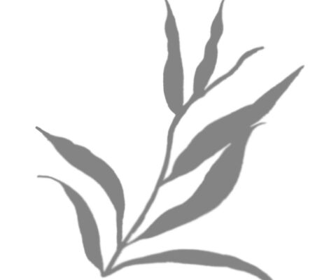 img4135935.png