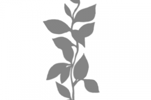 Стикеры для сториз Instagram