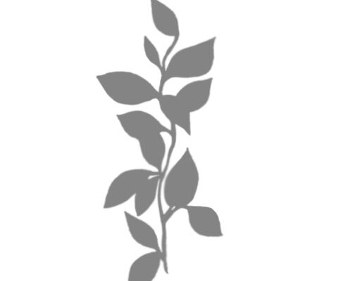 img4135933.png