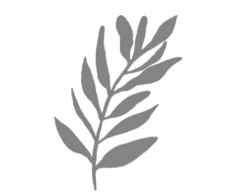 img4135932.png