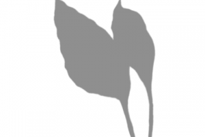 Стикеры для сториз Instagram