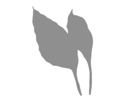 img4135931.png