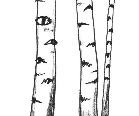 img4149035.png
