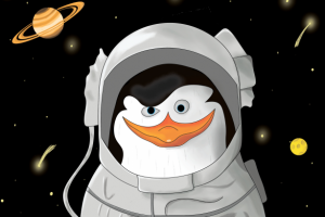 Шкипер в космосе