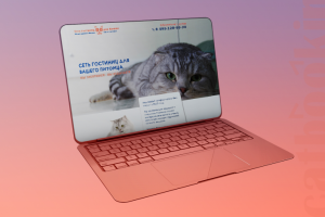 Гостиница для кошек в Москве