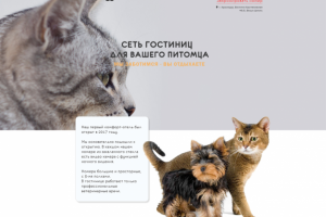 Гостиница для кошек в Краснодаре