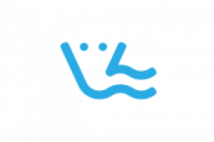 Морской слон