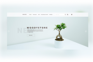 Landing Page - Plants Shop